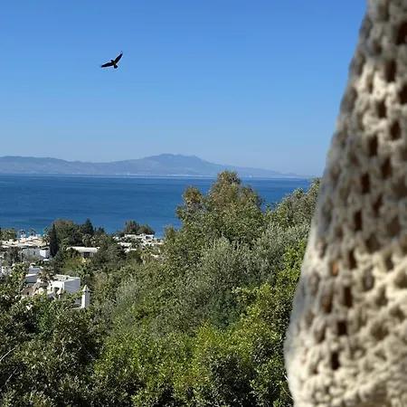 The Aegean Gate (adults Only)