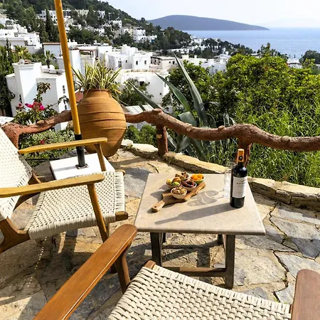 Hotell The Aegean Gate (adults Only) Bodrum
